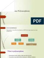 M4 - Run Time Polymorphism