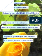 Rosa a Mar Ill A