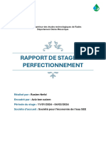Rapport Du Stage
