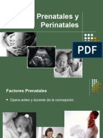 5) Factores Prenatales y Perinatales