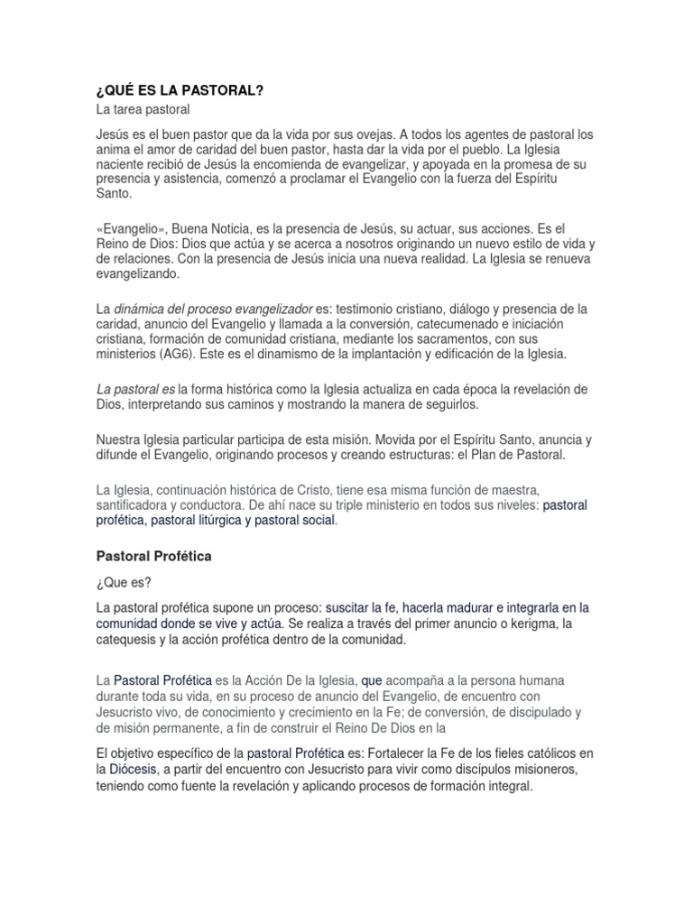 Qué Es La Pastoral | PDF | Iglesia Católica | Evangelización