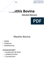 XIII Mastitis en Bovinos