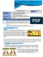 Ficha de Actividad CCSS 1° - Semana 3