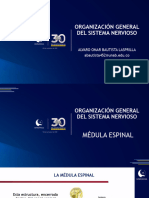 4 Médula Espinal y Pares Craneales Tema