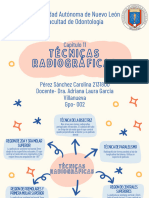 Mapa Conceptual Cap 11