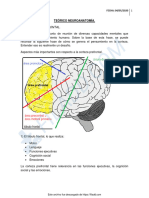04-05-2020 Corteza Prefrontal - Teorico Neuroanatomia