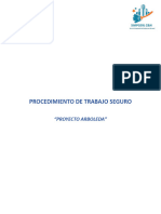 Procedimiento de Trabajo Seguro