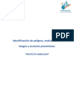 Identificación de Peligros, Evaluación de Riesgos y Acciones Preventivas.