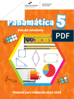 Panamatica 5 Web