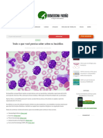 Tudo o Que Você Precisa Saber Sobre Os Basófilos - Biomedicina Padrão