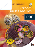 090733zzzoom Sur Les Abeilles