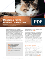 TVP-2020-1112 Managing Feline Urethral Obstruction
