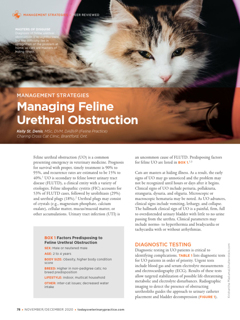 Fresh Look at Managing Feline Urethral Obstruction Pdf