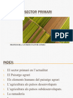 El Sector Primari (2) (3) (2)