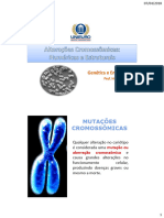 Alterações Cromossômicas