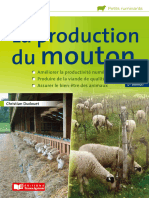 Mouton: La Production Du