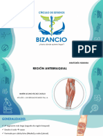 ANATOMIA-MMSS-CLASE 3-REGION ANTEBRAQUIAL-VER24