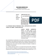 Adjunta Medios de Prueba PDF