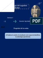 Semana 4 Esqueleto Apendicular MG - Estefani Franco Torres