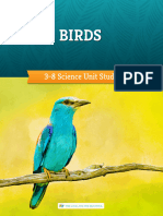 Birds Combined Sample
