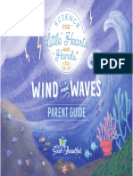 Wind and Waves Combined Sample