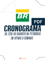 CRONOGRAMA PETROBAS-ok