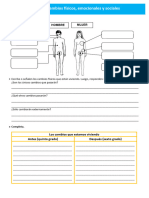 D3 A3 FICHA PS. Cambios Físicos, Emocionales y Sociales