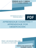 ana isabel de la cruz (El Aprendizaje Cognitivo y por Observación)