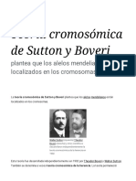 Teoría Cromosómica de Sutton y Boveri - Wikipedia, La Enciclopedia Libre