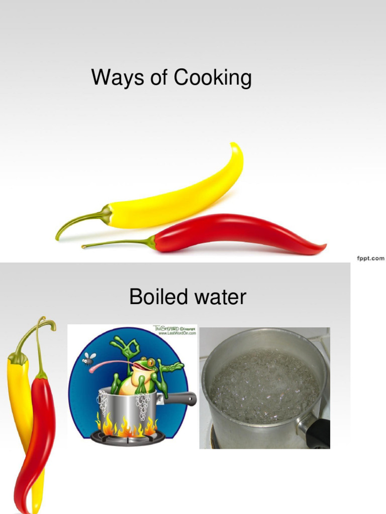 Cooking Techniques for Food Lovers | PDF