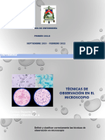 Técnicas de Observación en Microscopía