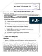 Relatóriopráticasead - Anatomia Humana