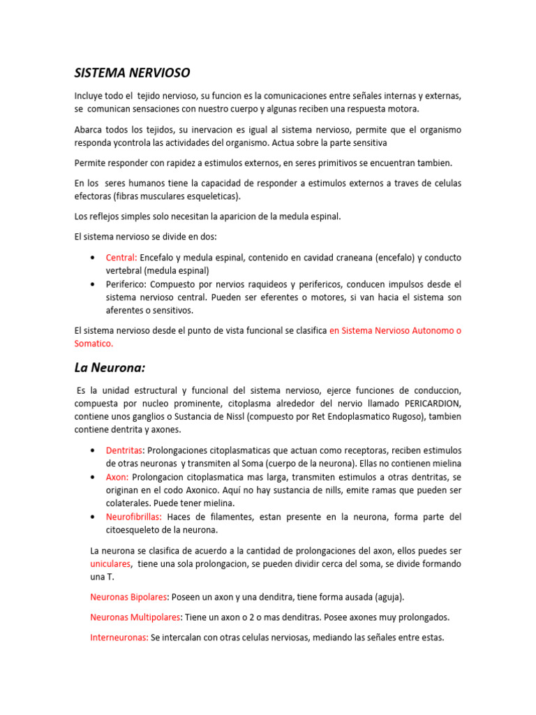 Funciones y Estructura del Sistema Nervioso | PDF | Sistema nervioso ...