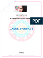 Apostila Módulo 1