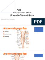 Anatomia Do Joelho - R1A
