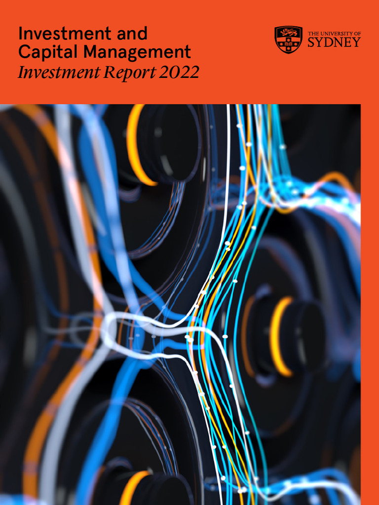 Investment and Capital Management Report 2022 | PDF | Financial Risk ...