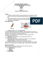 Animal and Plant Cell