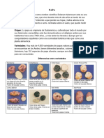 Investigacion Tuberculos