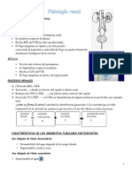 Fisiología Renal PDF