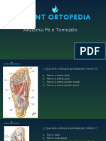 Anatomia Pé e Tornozelo