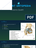 Anatomia Quadril