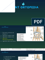 Anatomia de Antebraço e Mão