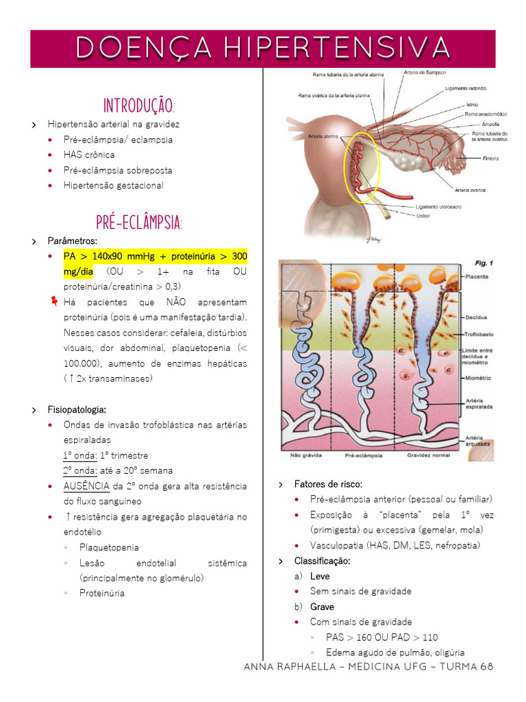 fisiopatologia-da-pr-ecl-mpsia-na-gesta-o-pdf-hipertens-o-sa-de