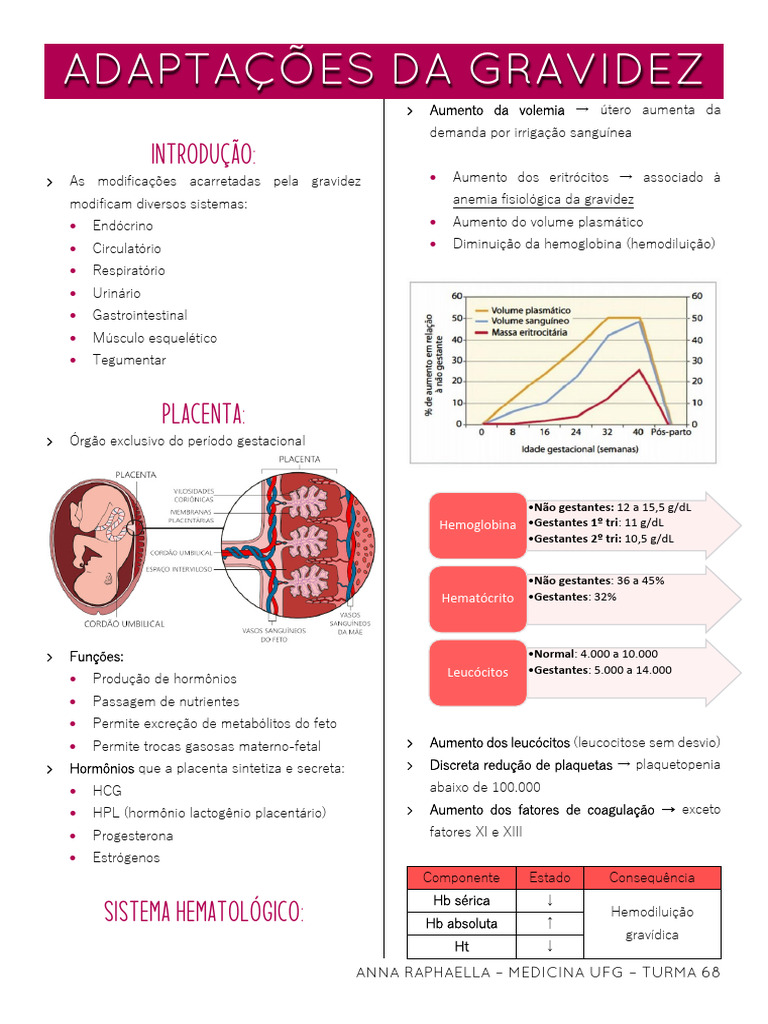 Alterações Fisiológicas Da Gravidez | PDF | Gravidez | Placenta