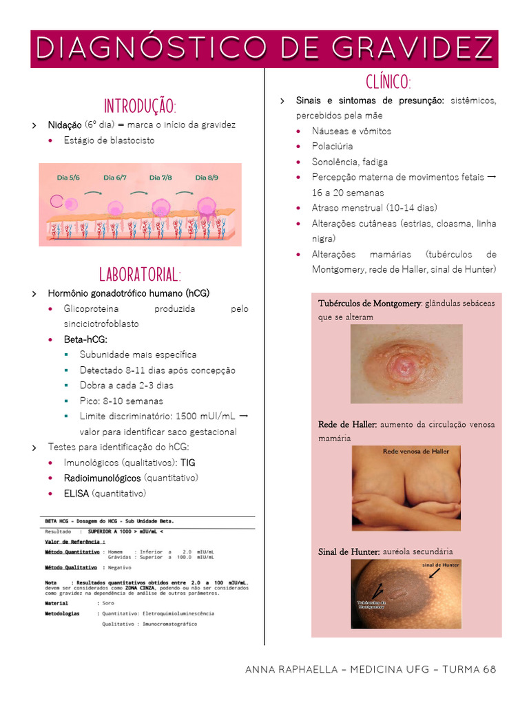 Diagnóstico de Gravidez e Sinais Clínicos | PDF | Gravidez | Reprodução