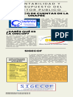 Infografia Del Sector Publico