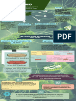 Infografía Célula Animal Ilustrada Azul