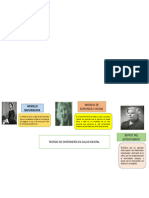Teorias de Enfermeria en Salud Mental