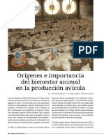 Bienestar Animal en Producción de Pollos Parrilleros y Ponedoras - Intensificación Agrop - 6º Comisión B