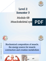 L1 Biochemistry, Muscle Proteins